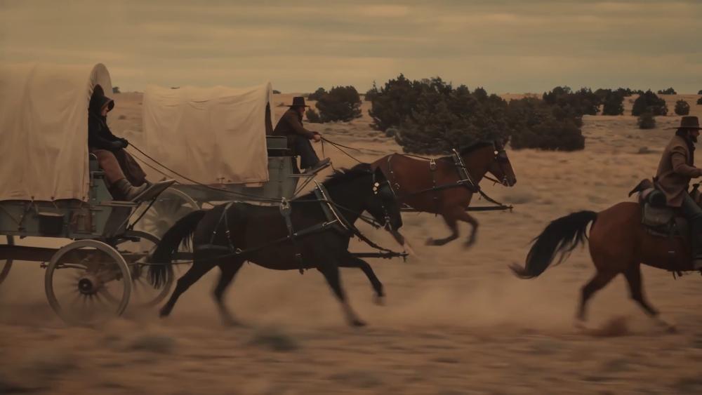 THE RACE