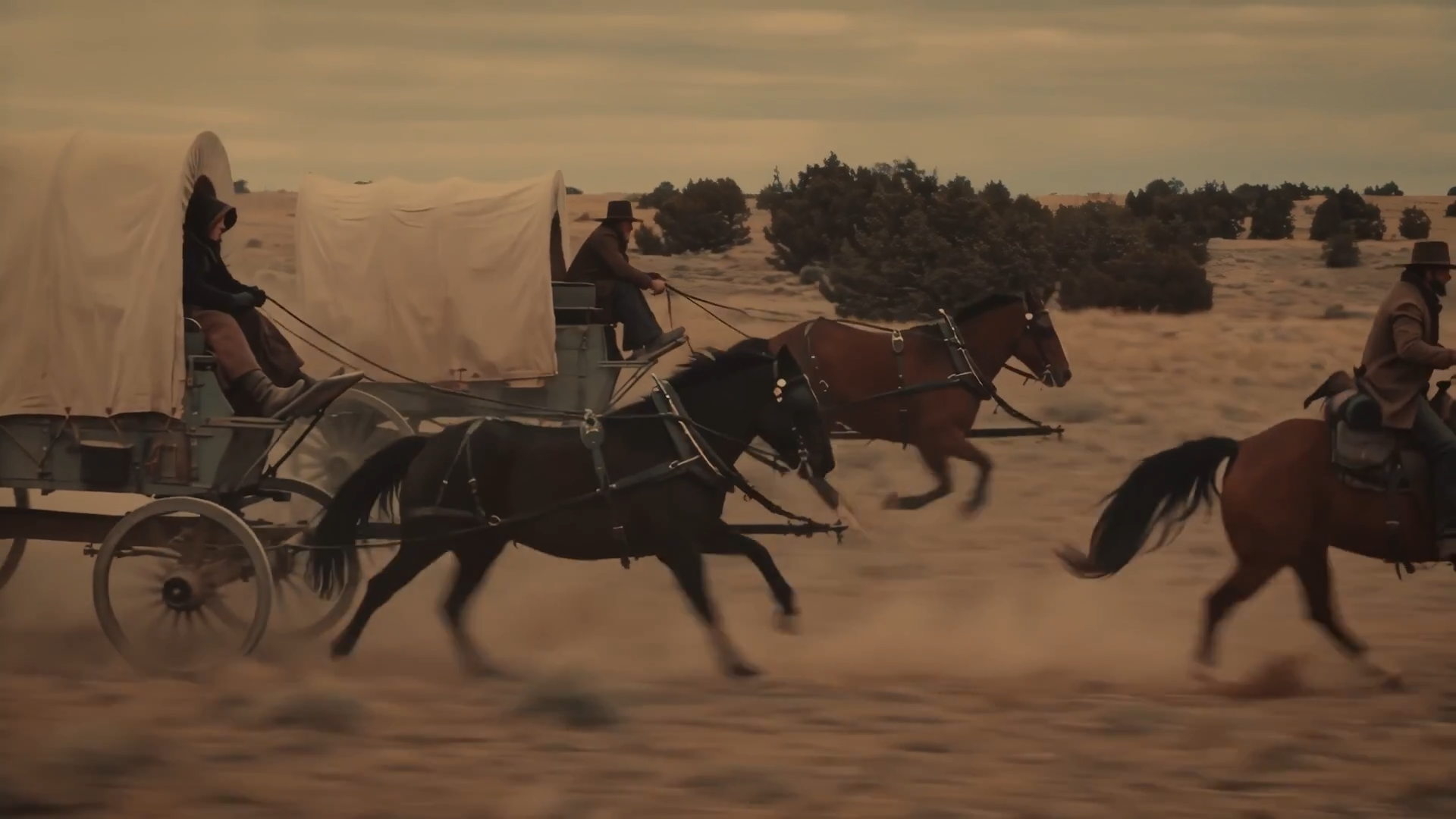The Race